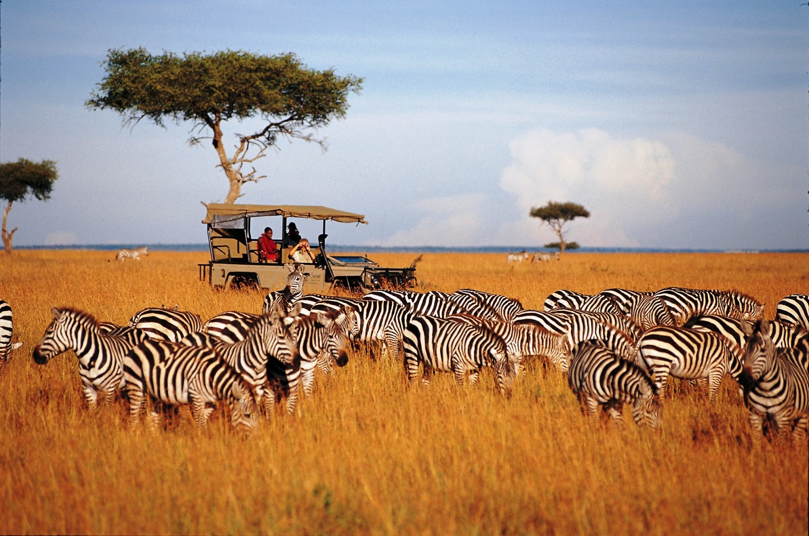 Life in the Serengeti-Ispeak